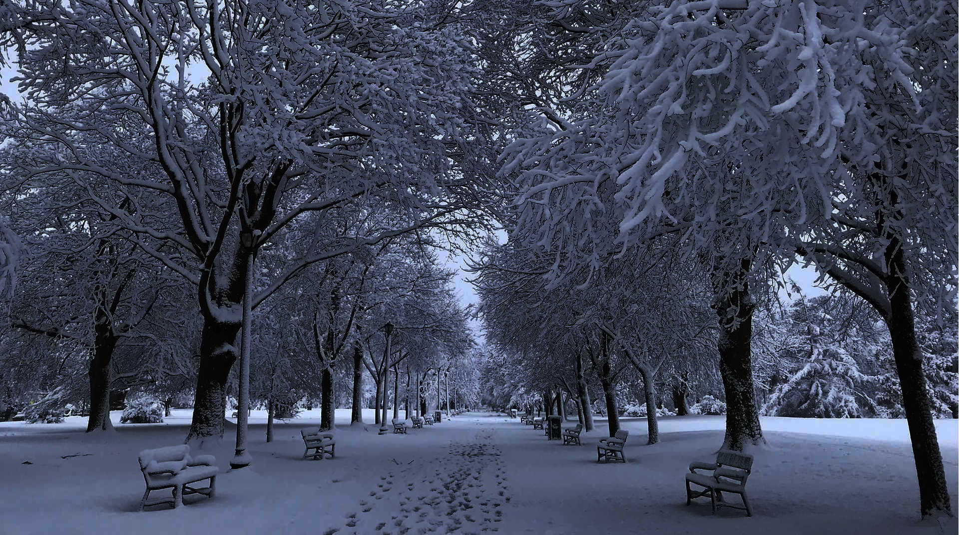 Snow Plowing
